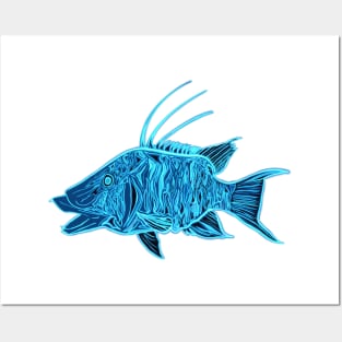 Blueberry hogfish Posters and Art